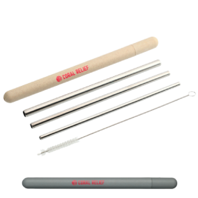 Reusable Stainless Straw Set