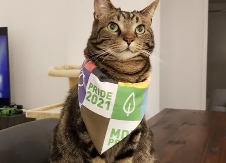 mongodb-custom-pride-bandana