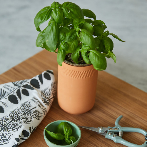 modern-sprout-growing-gourmet-gift-set-other