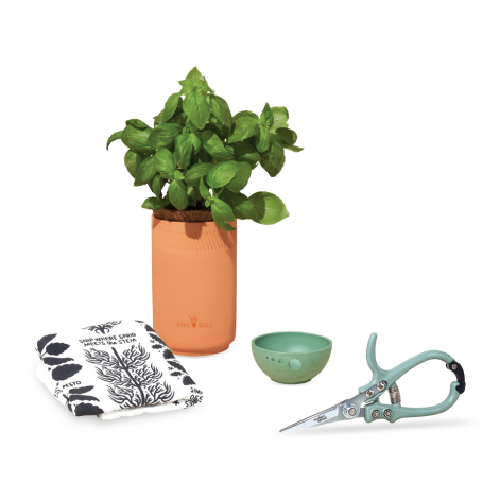 modern-sprout-growing-gourmet-gift-set