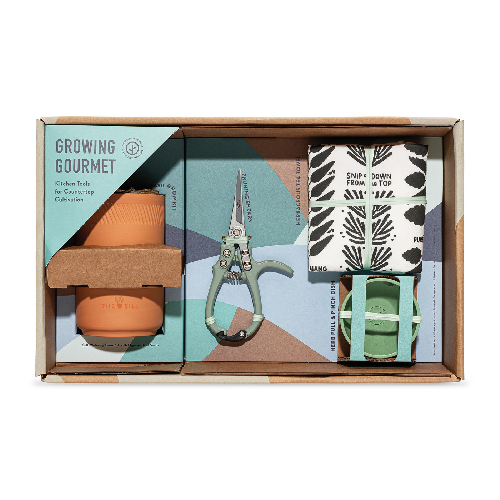 modern-sprout-growing-gourmet