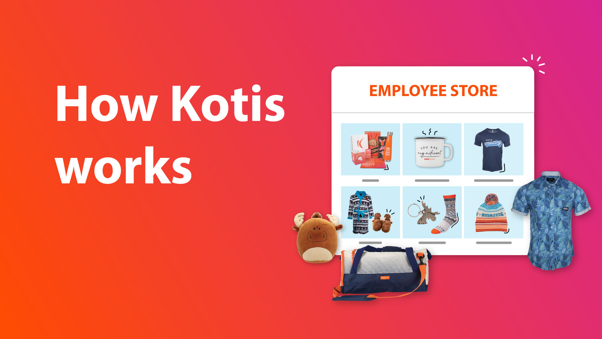 How Kotis Works Video