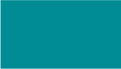 PMS 321C