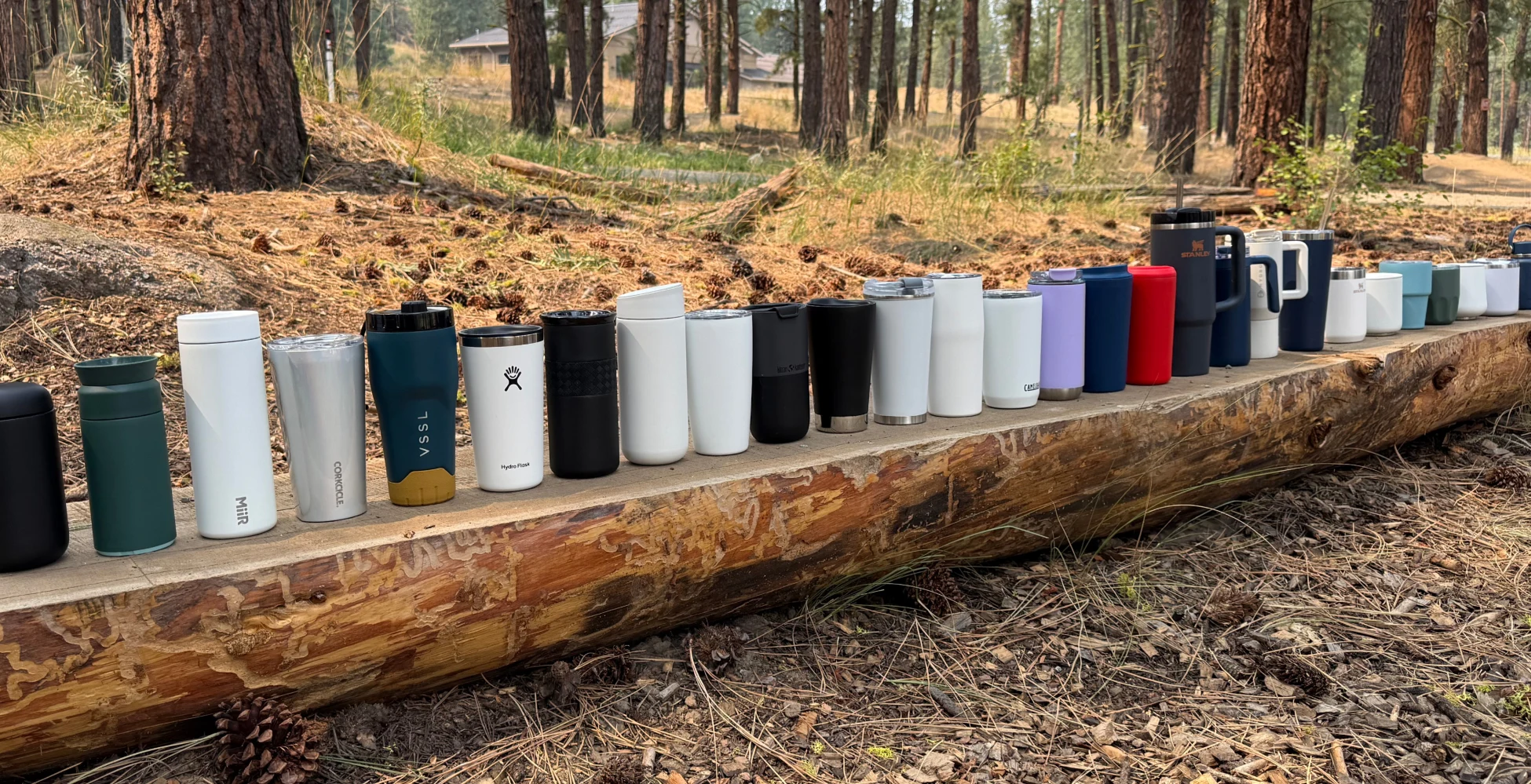 Kotis Picks Tumblers
